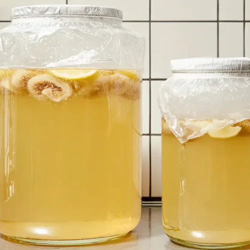Recette kéfir de fruits